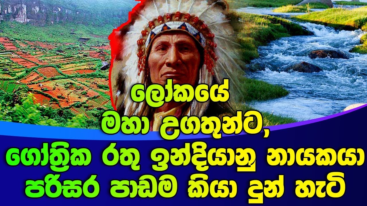 ලෝකයේ මහා උගතුන්ට,ගෝත්‍රික රතු ඉන්දියානු නායකයා පරිසර පාඩම කියා දුන් හැටි