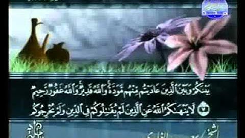 سورة الممتحنة الشيخ سعد الغامدي Al-Moemtahanah