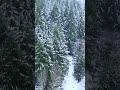 "Variations on the Kanon" - George Winston Clip