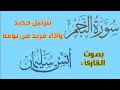 سورة النجم كاملة القارئ أنس سليمان 