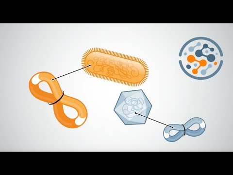 Video: Bin3C: Hi-C Sekveneerimise Andmete Kasutamine Metagenoomiga Kokku Pandud Genoomide Täpseks Lahendamiseks