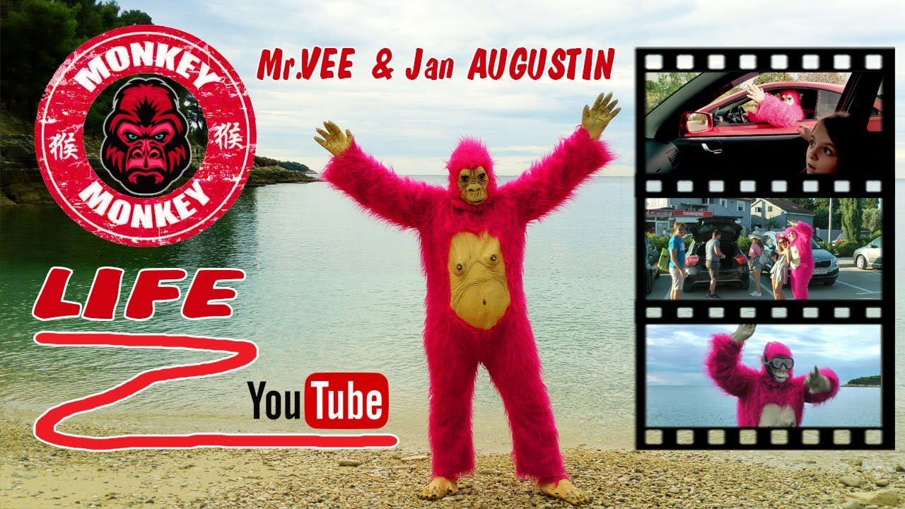 Mr. Vee & Jan Augustin - Monkey Life!
