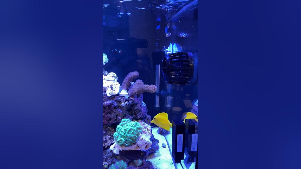 Waterbox 100.3 YouTube