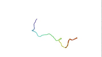 Collapse of semiflexible polymer.