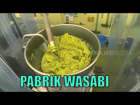 Video: Terbuat Dari Apa Wasabi