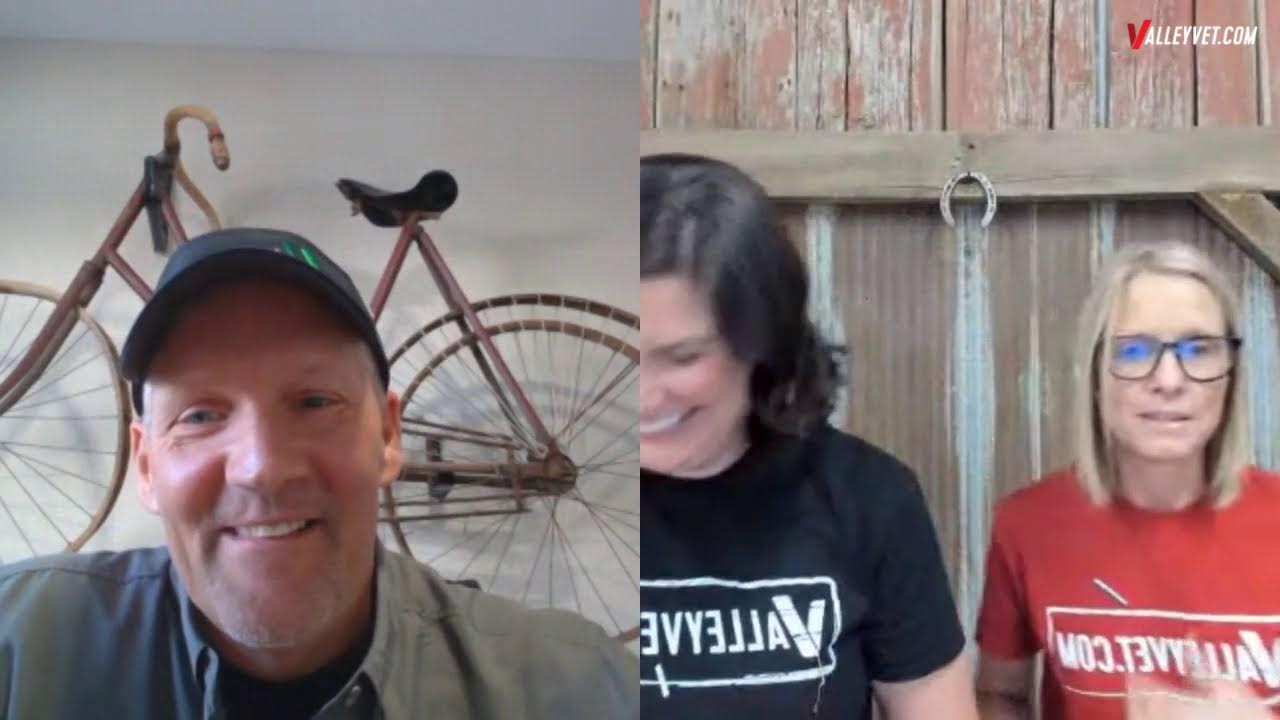 show-pig-fitting-tips-with-weaver-livestock-youtube