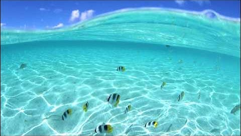 Thumbnail of Keola Beamer - Kalena Kai