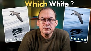 Get White Right in LIGHTROOM! How the PROS nail WHITE BALANCE AND WHITE BRIGHTNESS.