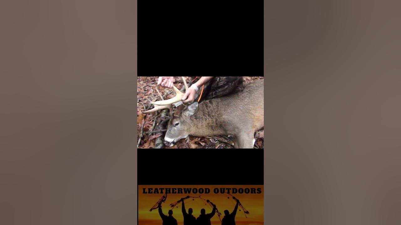 big-8-point-buck-shot-in-pennsylvania-during-rifle-season-youtube
