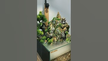 Tiểu cảnh bán cạn, không cần chăm sóc tại Ned Aqua #nedaqua #tieucanh #terrarium