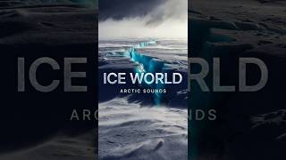 Arctic Ice Ambience ❄️ Frozen Silence of the Polar World #shorts