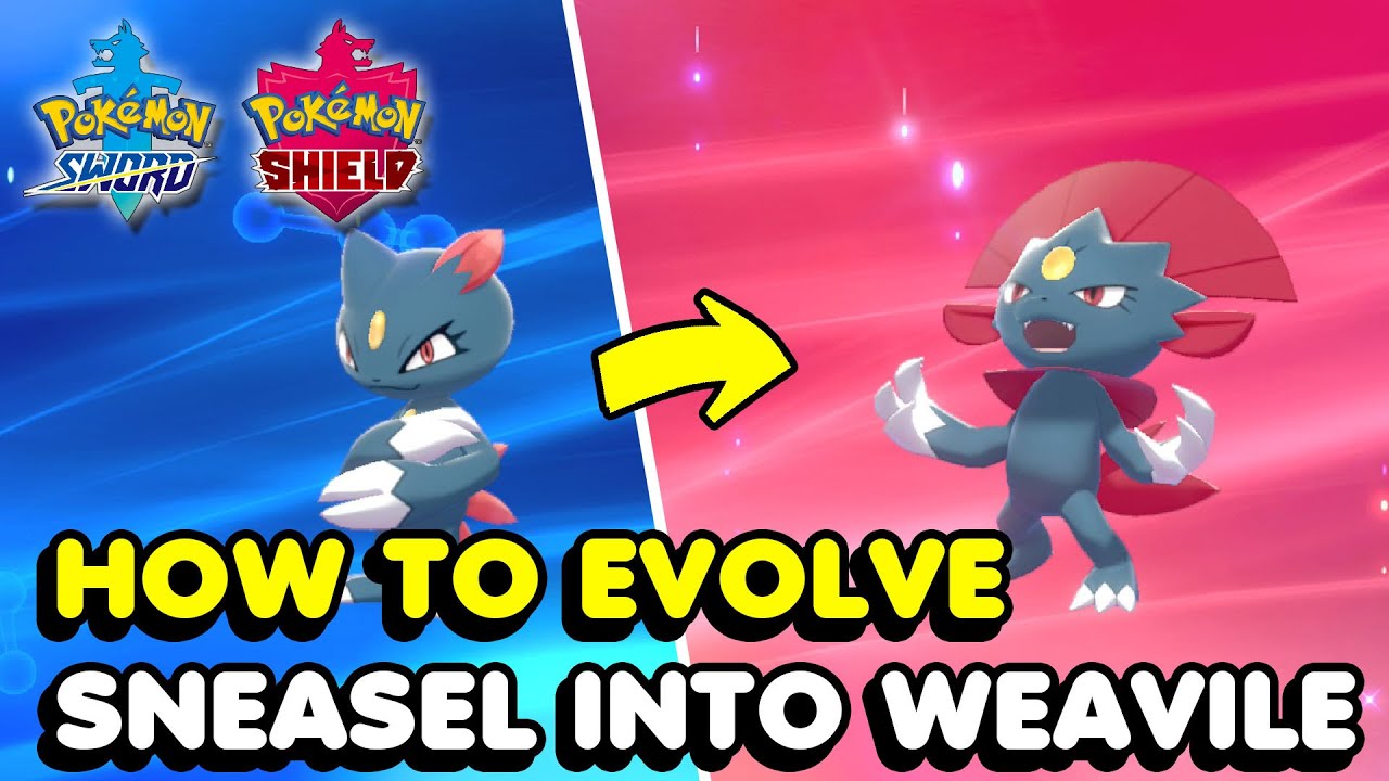 Sneasel Evolution Chart