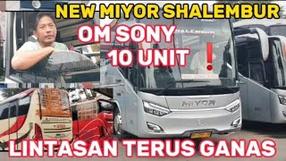 LINTASAN MASIH GANAS ❗ AKAN ADA LAGI 10 UNIT BUS BARU MIYOR // NEW SHALEMBUR MIYOR PLATINUM CLAS