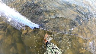 GILL NET FISHING | न्‍यू गिल ने से फिशिंग | the best net fishing | MrPKR | HD