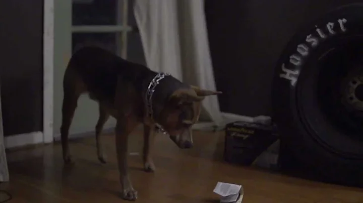 SONY FS700 slow motion test 960fps 480fps 240fps