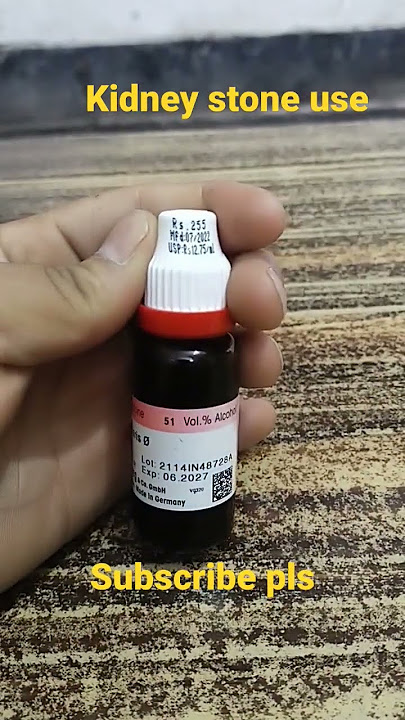 Berberis vulgaris q.#trending #viralvideo #homoeopathicmedicine #homoeopathy #kidneydisease #stone