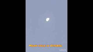 Moon cycle in Massachusetts in October 2023