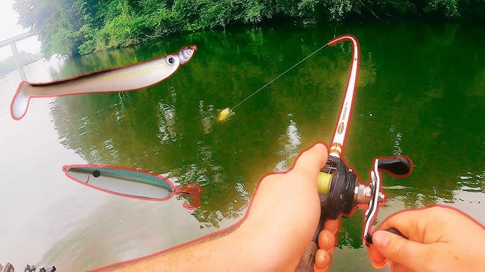 Fishing on the Black Warrior River: Chatterbaits and Square Bill