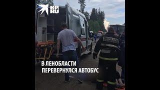 10 человек пострадали после падения автобуса в Ленобласти