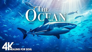THE OCEAN 4K - Scenic Relaxation Film With Calming Cinematic Music - 4K Video Ultra HD