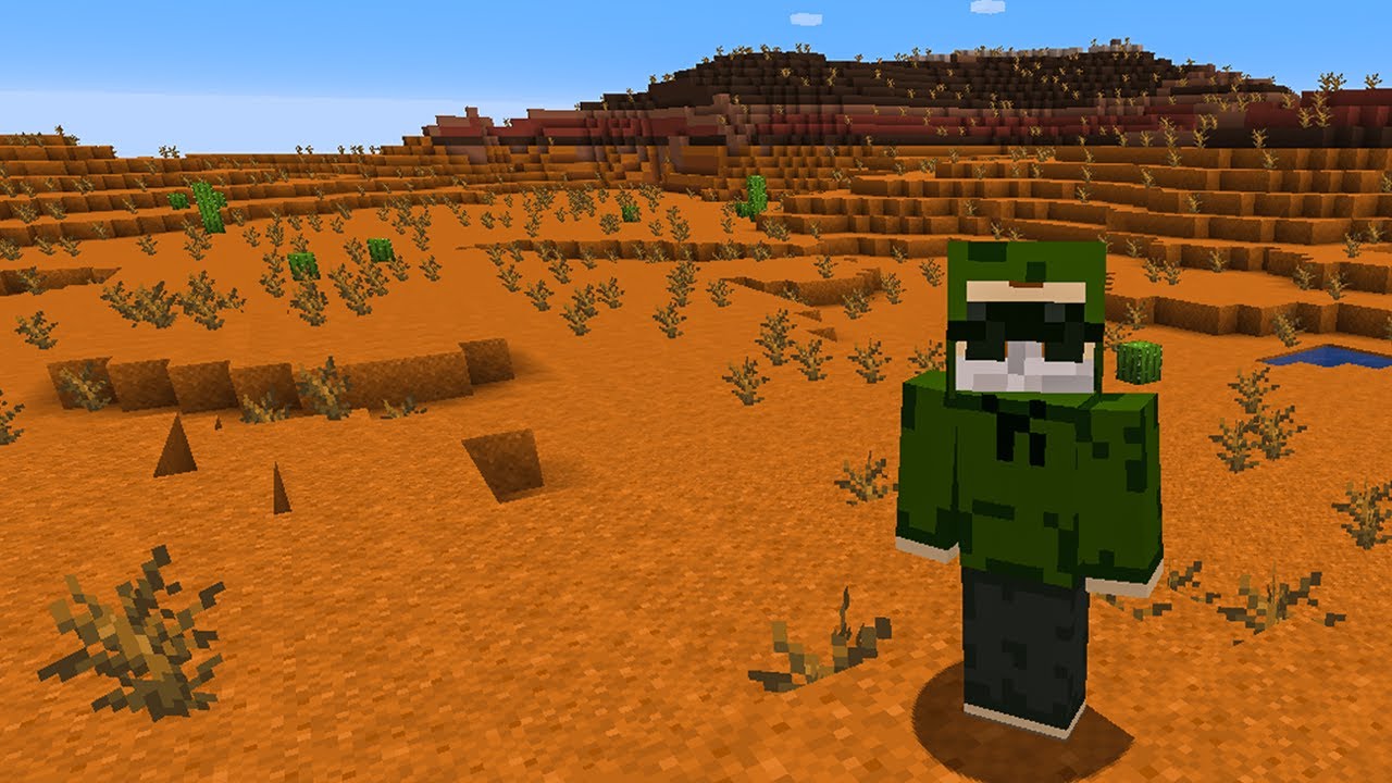 Minecraft, but the whole world is the same biome