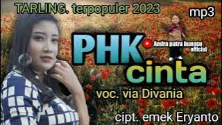 PHK Cinta. Lagu terpopuler/voc. via Divania/ cipt. emek Eryanto#tarlingterbaru2023 #lagutarling