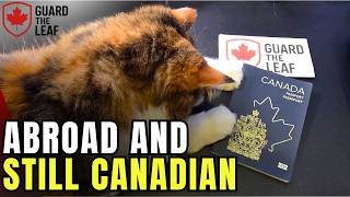 The World Is Watching Trump Bully Canada And Every Canadian Needs To Stand Up