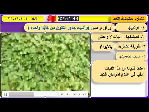 فيديو: حشيشة الكبد نبات طحلبي