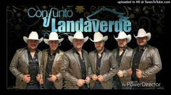 CONJUNTO LANDAVERDE (Cumbias Con Sax)