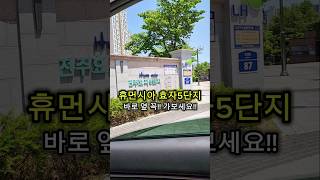 이 집 만두 한번 먹어보면 무조건 반하는 전주 효자동 맛집 효자왕만두 #전주맛집 #전주여행 #전주 #맛집 #먹방 #오늘뭐먹지
