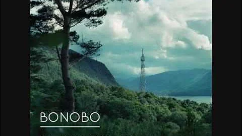 Bonobo - All In Forms