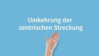 Streckzentrum Streckfaktor Bestimmen Einfach Erklärt Sofatutor