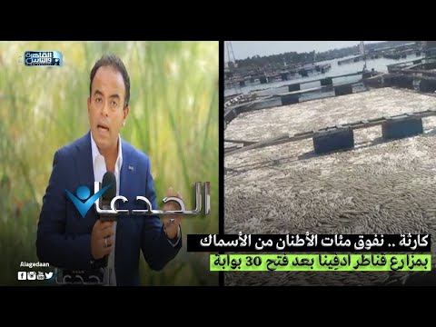 كارثة نفوق مئات الأطنان من الأسماك بمزارع قناطر ادف ينا بعد فتح ٣٠ بوابة