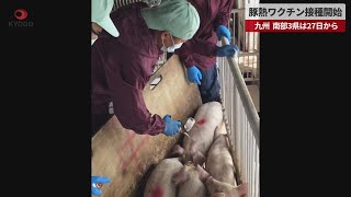 【速報】豚熱ワクチン接種開始   九州、南部3県は27日から