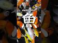 Por que 魚 é o kanji do peixe 🐠? Etimologia e origem do hanzi de peixe 鱼 🐟!