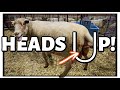 MAMA... HEADS UP!!😱|  we've gotta stop meeting like this. 😳| Fall Lambing 2021 | Vlog 497