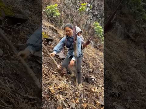 Как похудеть на лапше? #здоровоепитание #диета #ожирение #безглютена #зож #факты #Shorts