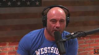 Joe Rogan Reacts to MTV's Fear Factor with Ludacris