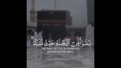 القارئ عمر الدريويز سورة (الزمر)