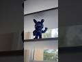 #fivenightsatfreddys#socool#coolbuys#cooltoys