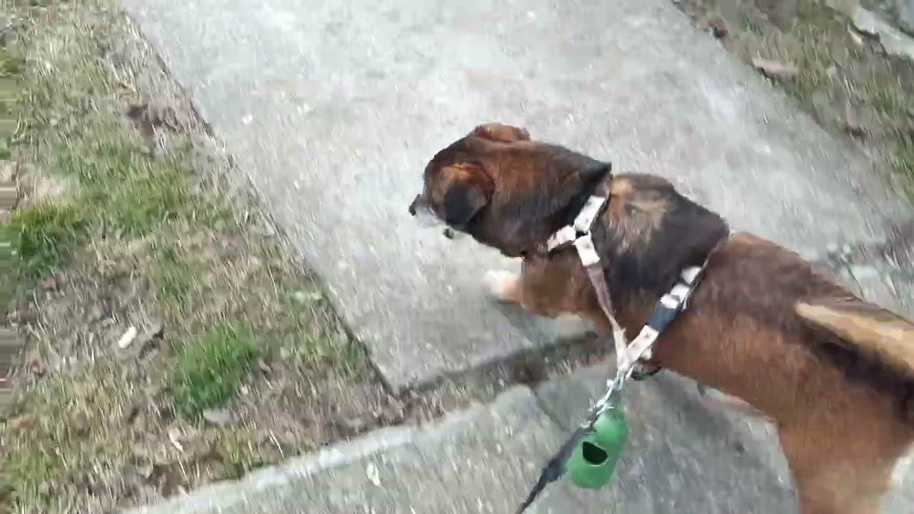 Mostat kalandjai 20 sétálja videóban