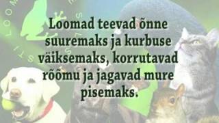 Eesti Loomakaitse Selts Esitleb Loomad On Võrratud