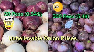 Unbelievable Onion Prices Turkey vs Philippines by Traveling Erol 266 views 1 year ago 3 minutes, 11 seconds