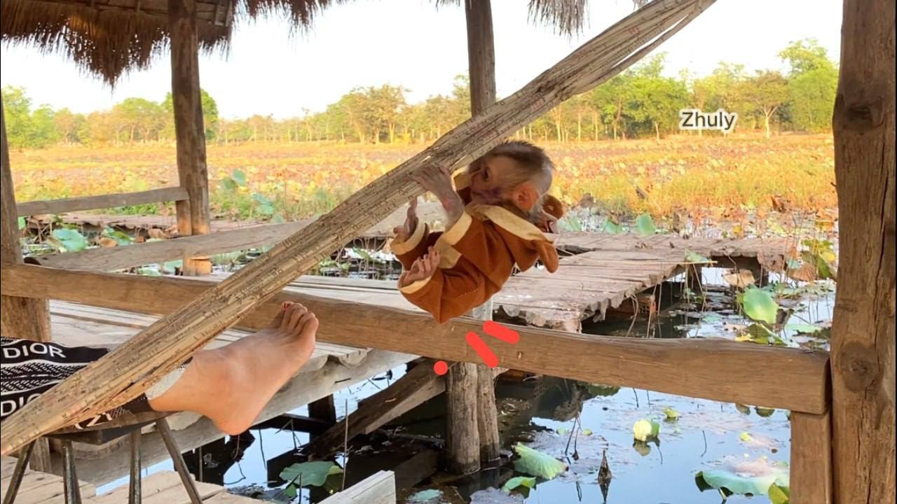 Infant Zhuly Stayinq With Biq Sister When Dad Go To Market