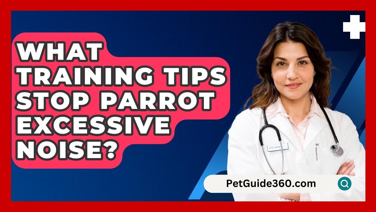 What Training Tips Stop Parrot Excessive Noise? - PetGuide360.com