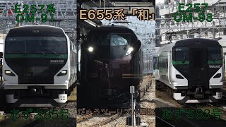 【E257系•E655系「和」】秋の臨時列車で賑わう松本駅