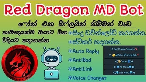 Whatsapp Bot | Red Dragon  | බොට් කෙනෙක් හදමු  | MD bot සිංහල