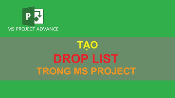 Tạo Drop list trong Ms Project - MS Project Advance