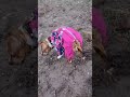 хитрая жопка-умничка😀