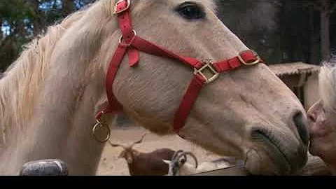 Brigitte Bardot 90 years old